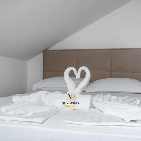 Bozica - Sea View Stone With Free Parking Guest house